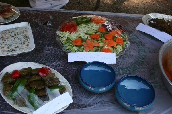 برگزاری نمایشگاه ایران شناسی در پردیس