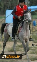 کسب عنوان سوم ، در اولین دوره مسابقات ورزشی اسب سواری کشوری