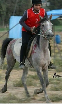 کسب عنوان سوم ، در اولین دوره مسابقات ورزشی اسب سواری کشوری