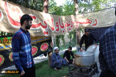 پذیرایی موکب هیئت قمر بنی هاشم (ع) پردیس علامه طباطبایی لرستان