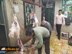 نذر گوسفند قربانی برای  سلامتی امام زمان(عج) در روز نیمه شعبان و جمع آوری
19گوسفند و ذبح آنها و توزیع در بین فقرا و محرومان شهر خرم آباد توسط گروه جهادی پردیس علامه طباطبایی لرستان
