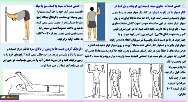 فایلهای مربوط به درس ورزش1 استاد محمد یادگاری پور