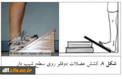 فایلهای مربوط به درس ورزش1 استاد محمد یادگاری پور