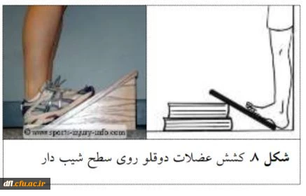 فایلهای مربوط به درس ورزش1 استاد محمد یادگاری پور