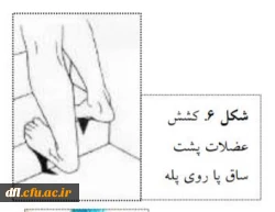 فایلهای مربوط به درس ورزش1 استاد محمد یادگاری پور