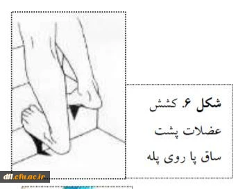 فایلهای مربوط به درس ورزش1 استاد محمد یادگاری پور