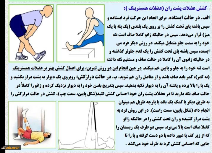 فایلهای مربوط به درس ورزش1 استاد محمد یادگاری پور