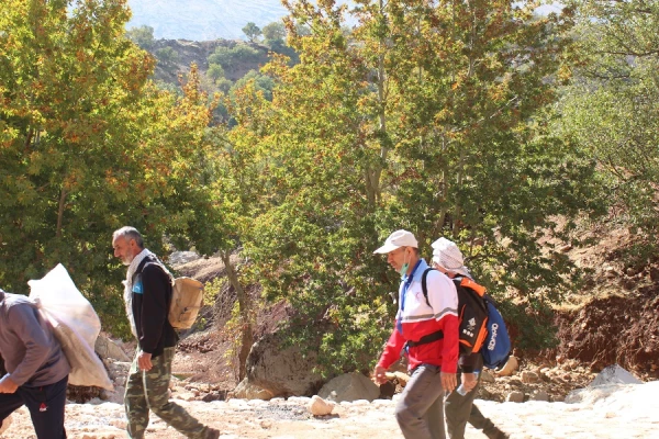 کوهپیمایی کارکنان پردیس علامه طباطبایی لرستان در منطقه سیاحتی آبشار وارک