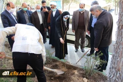 برگزاری مراسم یک درخت، یک زوج و یک شهید در پردیس علامه طباطبایی لرستان 