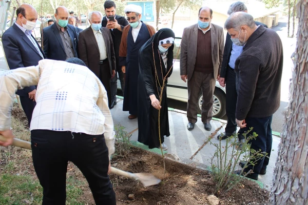 برگزاری مراسم یک درخت، یک زوج و یک شهید در پردیس علامه طباطبایی لرستان 