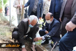 برگزاری مراسم یک درخت، یک زوج و یک شهید در پردیس علامه طباطبایی لرستان 