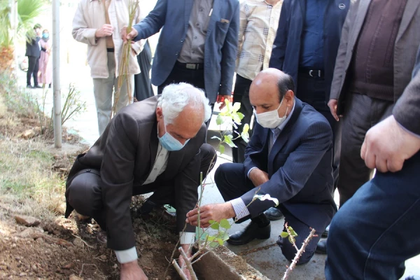 برگزاری مراسم یک درخت، یک زوج و یک شهید در پردیس علامه طباطبایی لرستان 